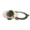 FISPA 94.377 Thermostat, coolant